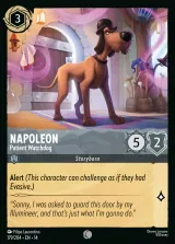 Napoleon - Patient Watchdog (014-179)